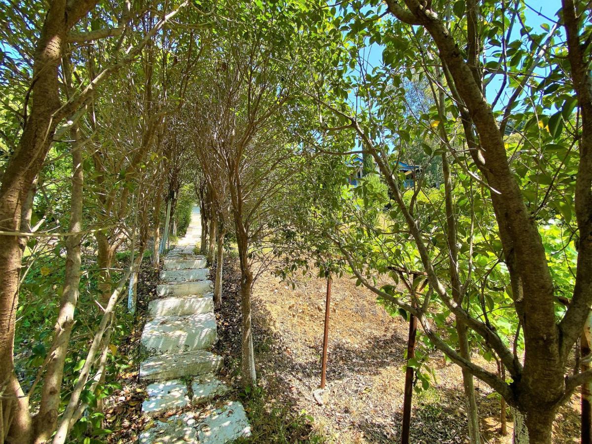 Ramo'S Cozy Beachside Haven With Panoramic Views - 1St Vlorë 외부 사진